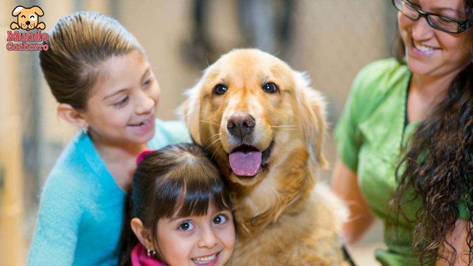 Adopción del perro: un momento clave