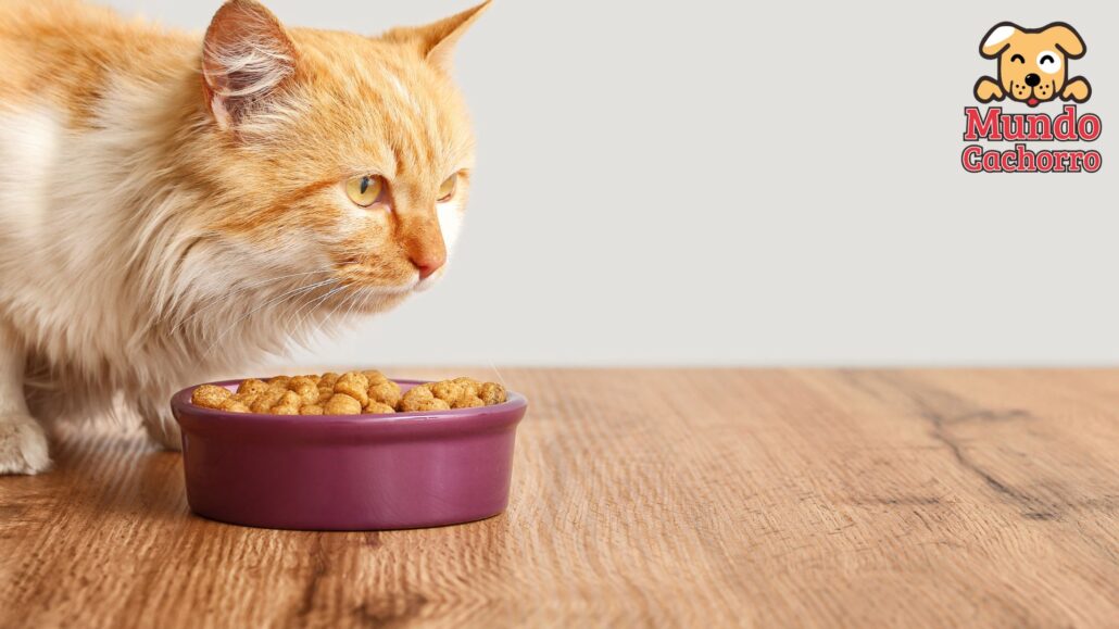 Especificaciones para la alimentación de los gatos 2