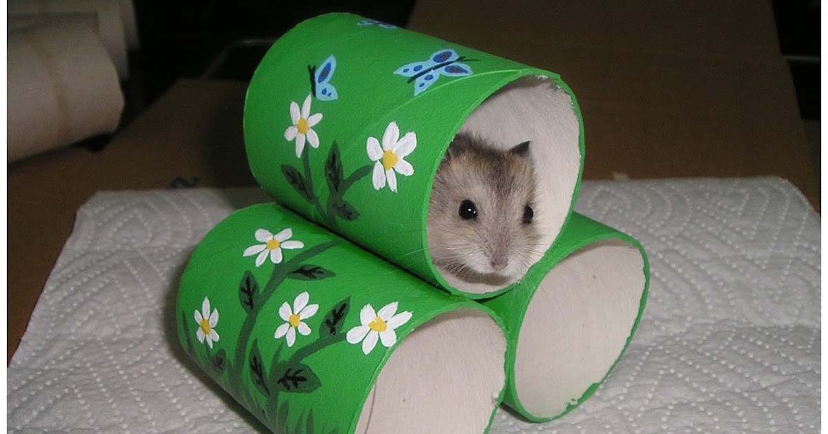   crafts for hamsters