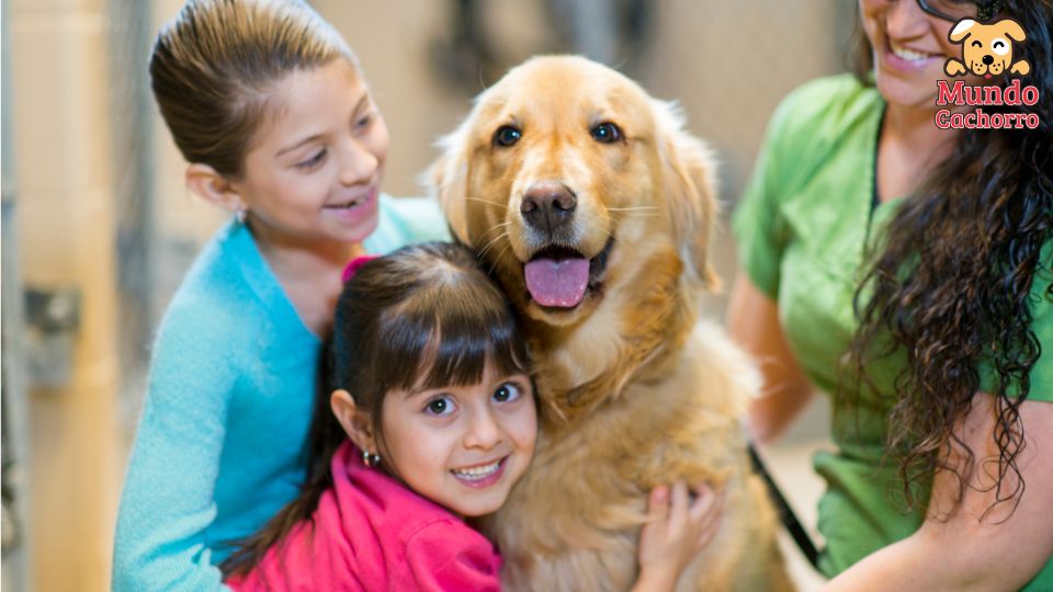 Razones para elegir un perro como mascota compañía, amor y bienestar