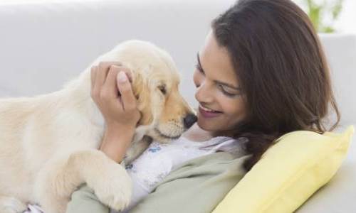 Los cachorros y sus efectos positivos en la salud femenina