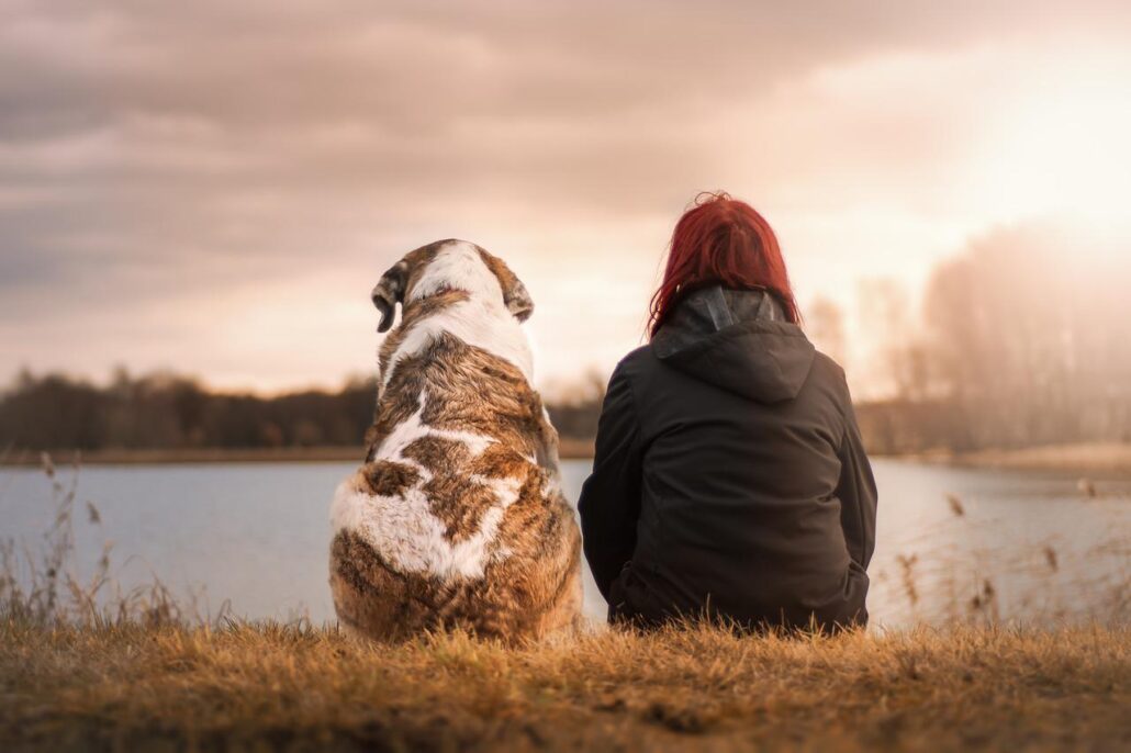 foto lienzo mascota recuerdo