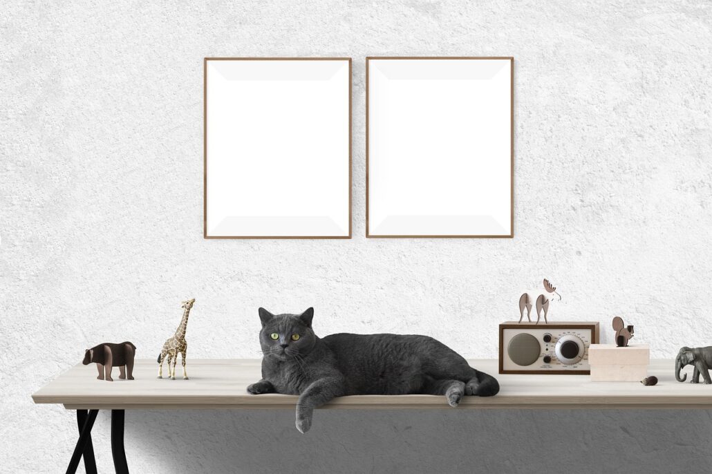 juguetes para gatos