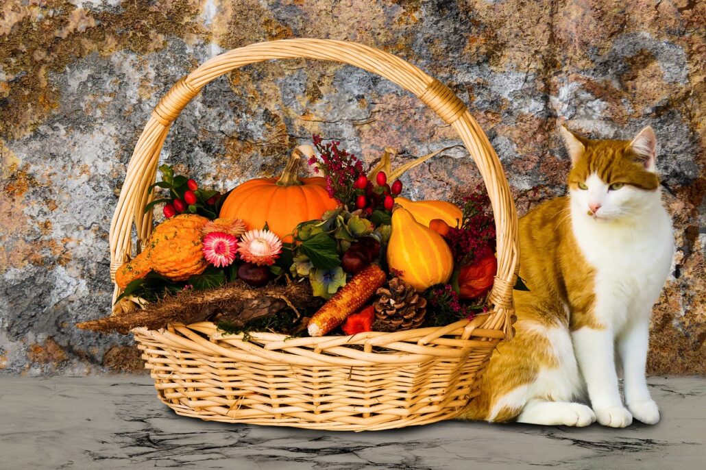 alimentos son malos para tu gato