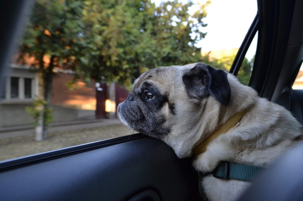 viaje largo en coche