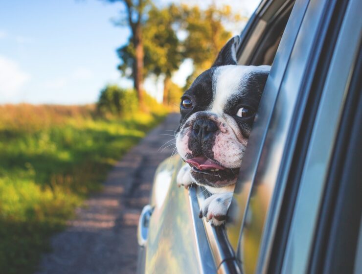 viajar en coche