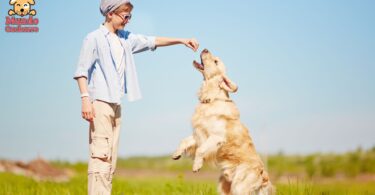 Usos y ventajas del refuerzo positivo en la crianza de perros