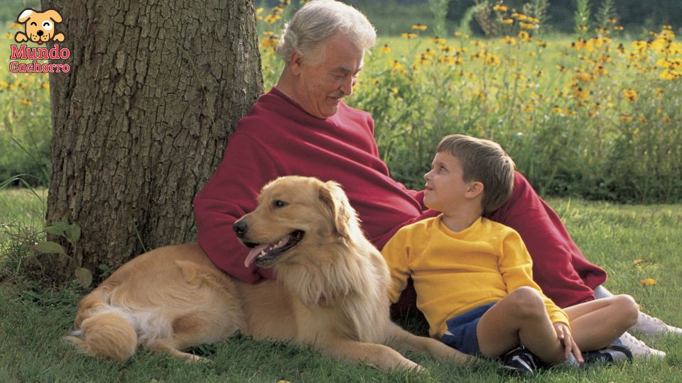 perro abuelos