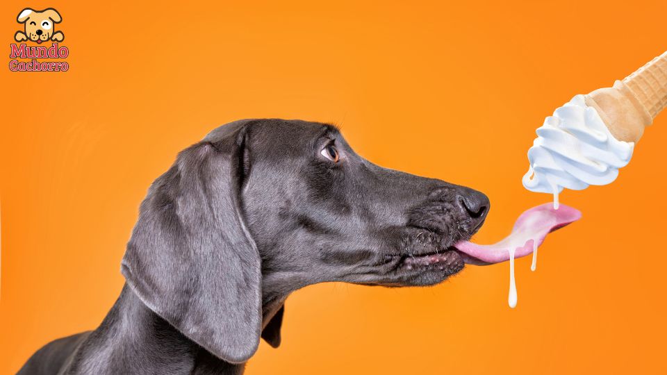 perro puede comer helados