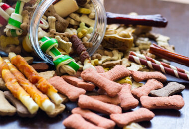 ideas de snacks saludables para mascotas